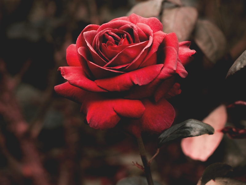 Corporate floral production